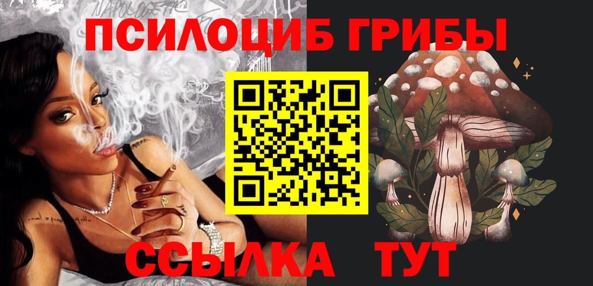 Псилоцибиновые грибы Psilocybine cubensis  Вход с VPN  Карачаевск 